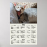 Jasper Yawning Kitten 2011 Calendar Poster posters
