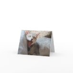 Jasper Yawning Kitten Photo Blank Notecard