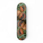 Java olive (Sterculia foetida), Kalumpang skateboards