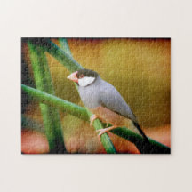 Java Sparrow puzzle