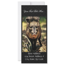 Javelina Custom Rack Card