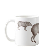 Javelinas Collared Peccaries Unique Arizona Mug