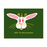 JAXX: The albino Jackalope Postcard