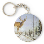 Jay's Peak, White Tail Deer keychains