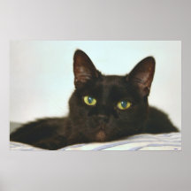 Jaziryn Poster
