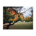Jefferson Barracks Postcards