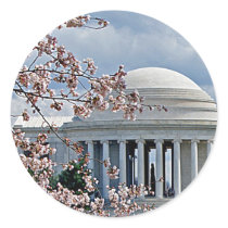 Jefferson Memorial - Cherry Blossoms Round Stickers