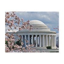 Jefferson Memorial PostCard
