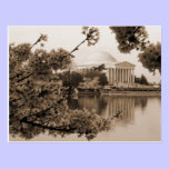 Jefferson Memorial Postcard postcards