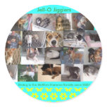 Jell-O  Jigglers stickers