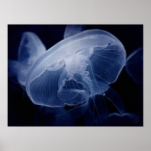 Jelly Close-up Canvas Print