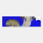 jelly fish  bumper sticker bumper stickers