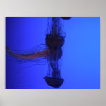 Jelly Mix Poster