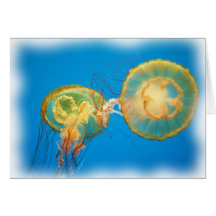 jelly_pair_2641_Paint Greeting Cards