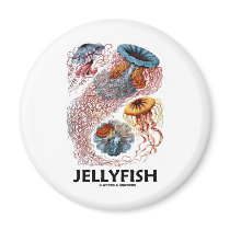 Jellyfish (Ernest Haeckel's Artforms Of Nature)