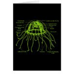 Jellyfish Greeting Card