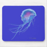 Jellyfish Mouse Pad mousepads