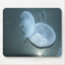 Jellyfish Mouse Mats