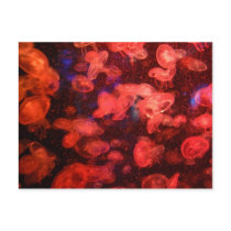 Jellyfish Postcard