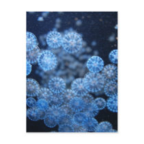 Jellyfish Postcard