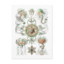 Jellyfish Post Cards
