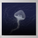jellyfish posters