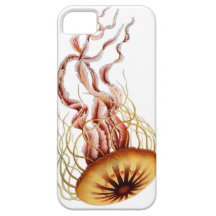 Jellyfish.  Simple.  Classic.  Cool. iPhone 5 Cover
