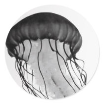 Jellyfish Sticker