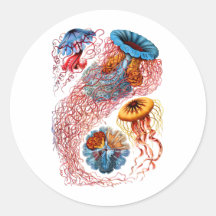 Jellyfish Sticker