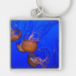 Jellyfish Underwater in Blue Water Sea Keychains