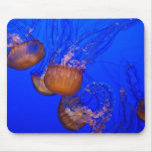 Jellyfish Underwater in Blue Water Sea Mousepads