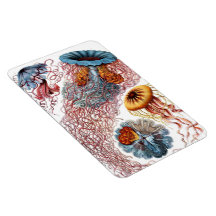 Jellyfish Vintage Haeckel Print Rectangular Magnet