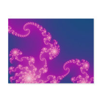Jellyfish Wonder