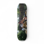 jen on bike skateboards