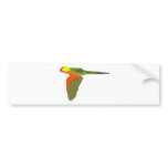 Jenday Conure bumper stickers