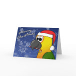 Jenday Conure Christmas Card
