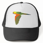 Jenday Conure Hat