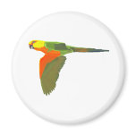 Jenday Conure magnets