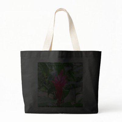 Jengibre rojo (red ginger) bags by lshickzazzle
