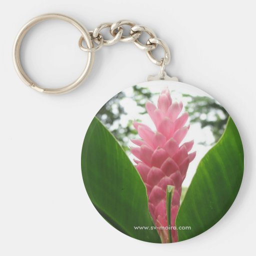 Jengibre rosado (pink ginger) key chain