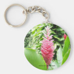 Jengibre rosado (pink ginger) key chains