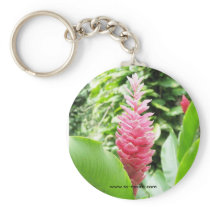 Jengibre rosado (pink ginger) key chains