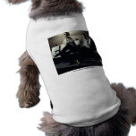 Jenn Martin (drag) Pet Clothing