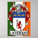 Jennings Coat of Arms Irish Flag Print
