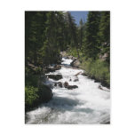 Jenny Lake, Wyoming postcards