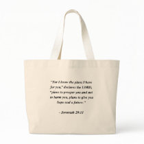 JEREMIAH 29:11 BAG