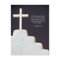 JEREMIAH 29:11 Bible Verse