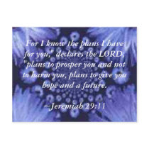 Jeremiah 29:11 Blue Daisy Post Card