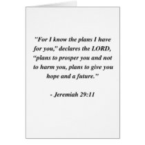 JEREMIAH 29:11