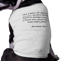 JEREMIAH 29:11